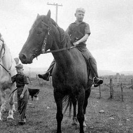 Molloy`s horses - photos taken next to Kotuku School.  - ALBUM -