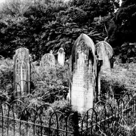 Stafford Cemetery. 1971.