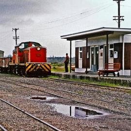D 456 at Ross train station. 1977.