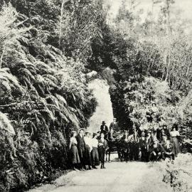 Postcard of Fern Arch in the Buller Gorge, dated 1906