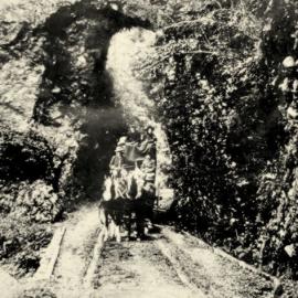 The Tunnel, Buller Gorge.
