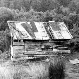 ALBUM - Benny Hore's old hut on back road to Boatmans.