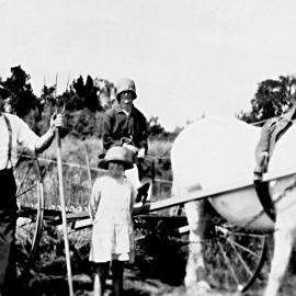 The Shannon/Douglas Family of Kowhitirangi