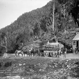 Horse drawn wagon on the Westport road, Buller Gorge.