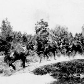 Logging at the Kopara, Westland. 1933