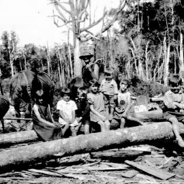 Mine props for the Paparoa Mine - Fred Tuck and family with the Taylor Children 1929