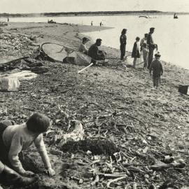 Whitebaiting on the Taramakau 