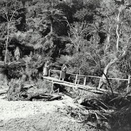 Walkway to Dorothy Falls, Lake Kaniere.ca. 1910-1919.