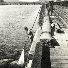 Whitebaiting on the Grey River .