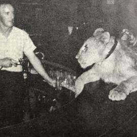 Lion at the New Commercial Hotel, Greymouth   *ALAN WISDOM COLLECTION*