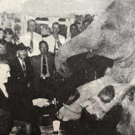 Elephants at Revington's Hotel, Greymouth   *ALAN WISDOM COLLECTION*
