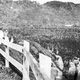 Pancake Rocks, Punakaiki ,1960.  