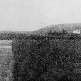 Duncan McLean, wholesale merchants,  Greymouth