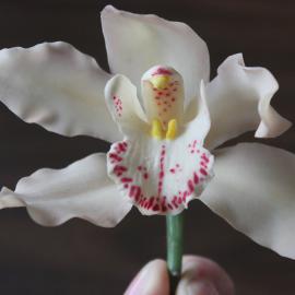 Peter Hughson who made  artificial orchids.1963.
