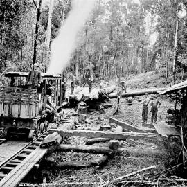 No.3 Winch, Jacks Mill,Kotuku. ca.1927.