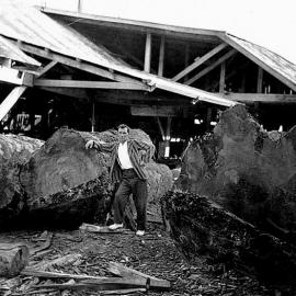 Jacks Mill - Kotuku - Pop Johns . 1927.