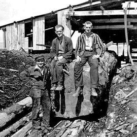  Bill Brereton, Jim Crimmins and Peter Guenole at Jack Brothers' Mill, Kotuku .ca.1940.