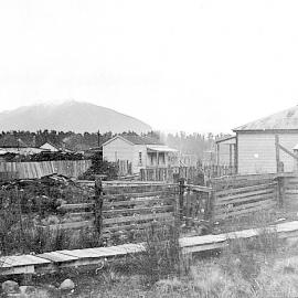  "Duck Walk" from house to Main road,Kotuku.ca.1926-27.