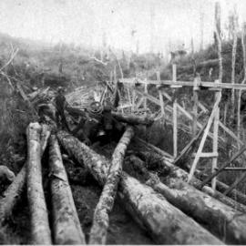 Lokie Smash,Jacks Mill,Kotuku.1930. *PHOTO ALBUM*