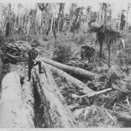  Notes for Bill Lucas - "At Rest", jumped clear of the crash.Jacks Mill, Kotuku.1931.