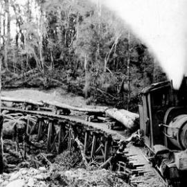 Logging at Kotuku, and Orwell Creek, 1930s *PHOTO ALBUM*