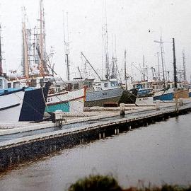 Fisherman's Wharf, Blaketown