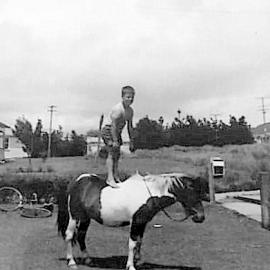 Shane Bertacco up at Grandads house on his pony , Runanga.