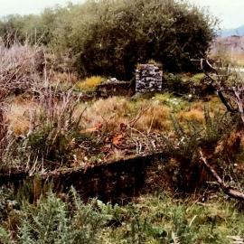 Pearn’s Brewery site , Kumara.1971.