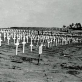 Freshly dug WW2 graves
