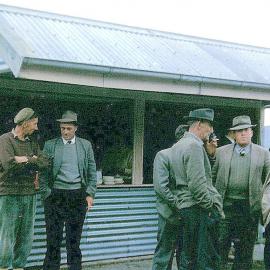 Whataroa Stockyards on sale day  mid 1960s