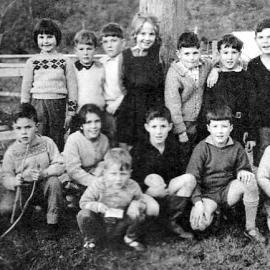 A group of Cobden kids busy watching a herd of cows.1965.