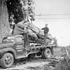  ALBUM - Dave Gibson and Snow Thomas at Arthur Condon's Farm,Franz Josef.