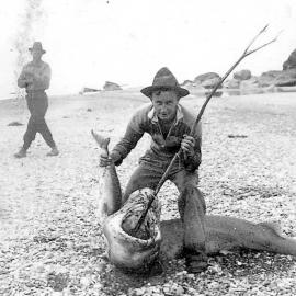 9FT Shark caught at Gillespies Beach, 1937.