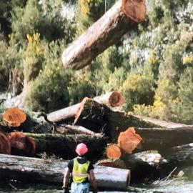 Helicopter harvesting,Blue Spur, Arahura - Lionel Tainui was dogger and hookman ca.1990`s.