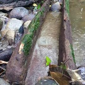 100 year old sluice box carved out of a log.  - 2 PHOTOS -