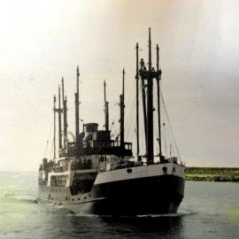 Puriri crossing Grey River bar