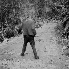 Road in South Westland