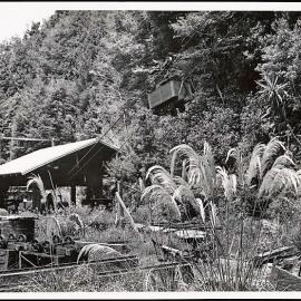 Paparoa Mine aerial ropeway 1950's. ~2 photos~