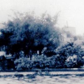 Flood at 17 Jollie Street Hokitika in 1958