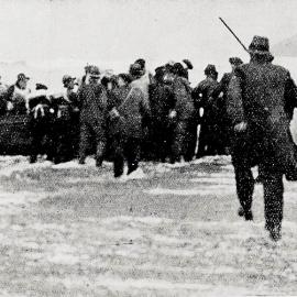 Survivors from the wrecked Steamer, Perth, coming ashore on Cobden Beach.Nov 1921.