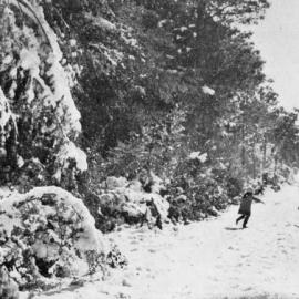 On the road to Lake Brunner, July 1934.
