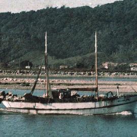 "Helena"  moving up Grey River .ca.1939-40.