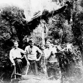 Hard Yakka in South Westland Bush.