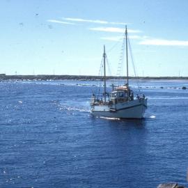 Ida Marion sailing up Grey River .
