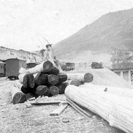 Broken River Station . 1910.