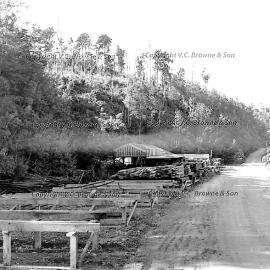 Totara River Timber Mill, Buller,  1 May 1954.