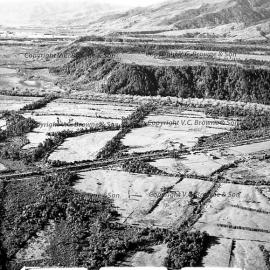 Caledonian Terraces, Buller, 9 June 1955.