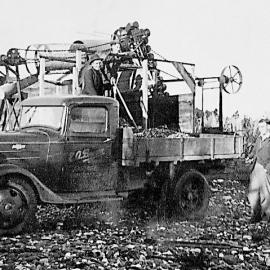  Stone Crusher, Bruce Bay  .1937.