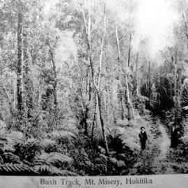 Mt Misery near Hokitika