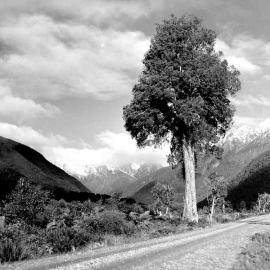 Main South Road, Mahitahi.1948.